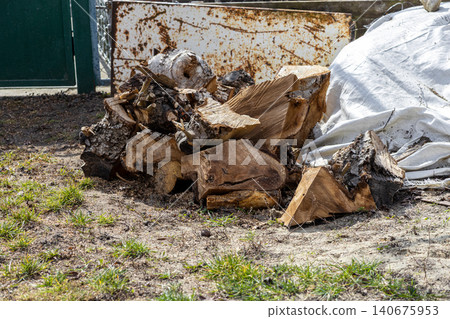 A pile of raw chopped firewood logs lying on dry ground outdoors during a sunny day, representing seasonal fuel preparation for home heating and rural life in a rustic natural setting A pile of raw chopped firewood logs lying on dry ground outdoors during a sunny day, representing seasonal fuel preparation for home heating and rural life in a rustic natural setting 140675953