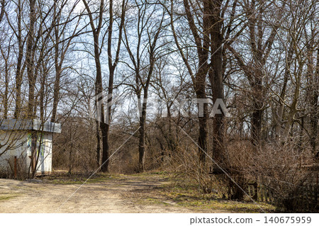 Bare tree forest path with a small weathered building during early spring, evoking a sense of solitude and transition in a quiet nature landscape near a rural or suburban region Bare tree forest path with a small weathered building during early spring, evoking a sense of solitude and transition in a quiet nature landscape near a rural or suburban region 140675959