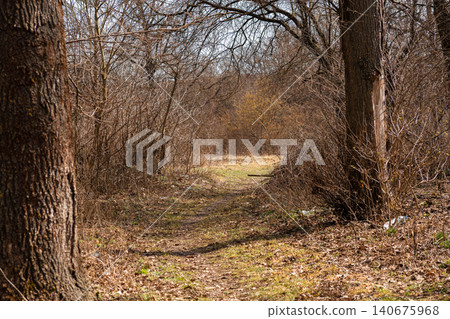 Narrow dirt path winding through a dense forest with bare trees in early spring sunlight, evoking a tranquil journey amidst the peaceful stillness of a quiet and natural landscape Narrow dirt path winding through a dense forest with bare trees in early spring sunlight, evoking a tranquil journey amidst the peaceful stillness of a quiet and natural landscape 140675968