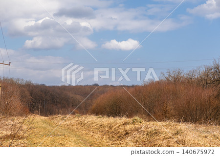 Leafless trees stand in a dormant forest landscape under a bright blue spring sky with fluffy clouds, capturing a serene rural atmosphere during the seasonal transition period Leafless trees stand in a dormant forest landscape under a bright blue spring sky with fluffy clouds, capturing a serene rural atmosphere during the seasonal transition period 140675972