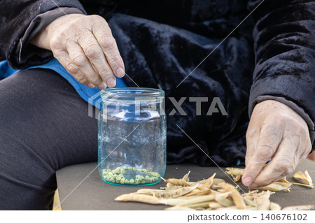 Elderly hands shelling dry pea pods into a glass jar on a dark surface to preserve homegrown organic crops for winter food storage in a traditional rural lifestyle food setting Elderly hands shelling dry pea pods into a glass jar on a dark surface to preserve homegrown organic crops for winter food storage in a traditional rural lifestyle food setting 140676102