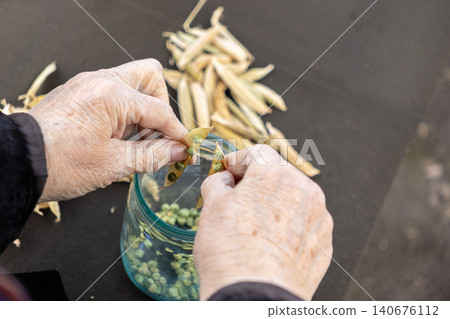 Senior hands shelling dried green peas from pods into a glass jar for storage, capturing a traditional agricultural food preservation technique and home gardening harvest process Senior hands shelling dried green peas from pods into a glass jar for storage, capturing a traditional agricultural food preservation technique and home gardening harvest process 140676112