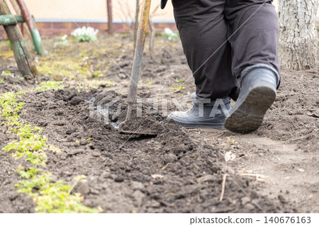 A dedicated gardener digs a deep trench in rich soil using a metal hoe to prepare for seasonal planting and foster sustainable organic food production in a lush home garden A dedicated gardener digs a deep trench in rich soil using a metal hoe to prepare for seasonal planting and foster sustainable organic food production in a lush home garden 140676163