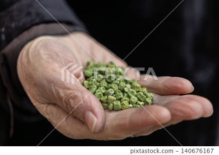 An elderly person holds a handful of dried green peas in their wrinkled palm, highlighting organic farming traditions and healthy nutrition choices through a sustainable harvest An elderly person holds a handful of dried green peas in their wrinkled palm, highlighting organic farming traditions and healthy nutrition choices through a sustainable harvest 140676167