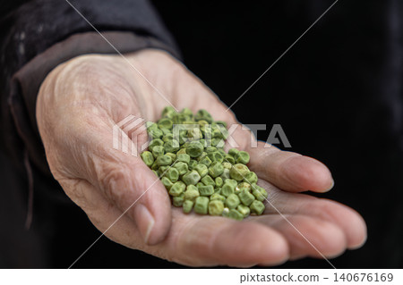 A weathered hand holds a handful of dried green peas, representing food security, agricultural heritage, organic healthy cooking, and the simple beauty of natural harvest bounty A weathered hand holds a handful of dried green peas, representing food security, agricultural heritage, organic healthy cooking, and the simple beauty of natural harvest bounty 140676169