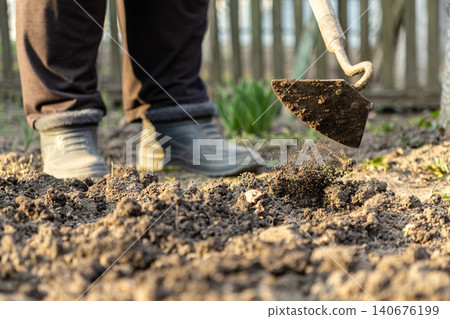 A person uses a metal hoe to cultivate garden soil on a sunny spring day, illustrating sustainable agriculture, hobby farming, food production, and a healthy outdoor lifestyle A person uses a metal hoe to cultivate garden soil on a sunny spring day, illustrating sustainable agriculture, hobby farming, food production, and a healthy outdoor lifestyle 140676199