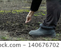 A senior person planting a seed in the dark soil of a garden, illustrating careful agricultural activity, sustainable home food production, and seasonal farm work in spring outdoors 140676702