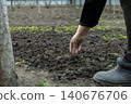 A senior hand carefully planting a seed in the dark fertile soil of a home garden, highlighting the traditional seasonal preparation for spring growth and sustainable food cultivation 140676706