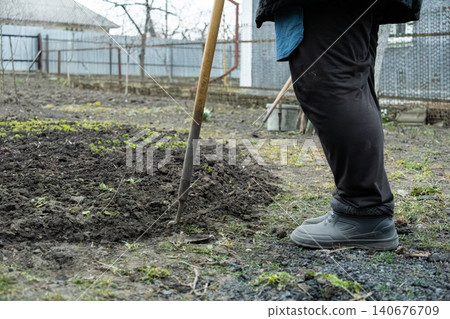 A gardener uses a traditional metal hoe to cultivate dark soil in a backyard vegetable patch, representing seasonal rural labor, sustainable small-scale farming, and spring work A gardener uses a traditional metal hoe to cultivate dark soil in a backyard vegetable patch, representing seasonal rural labor, sustainable small-scale farming, and spring work 140676709