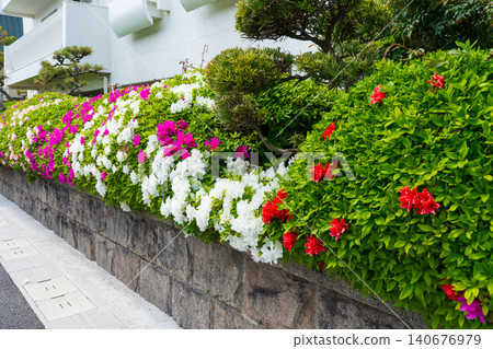 Beautiful spring hedges 140676979