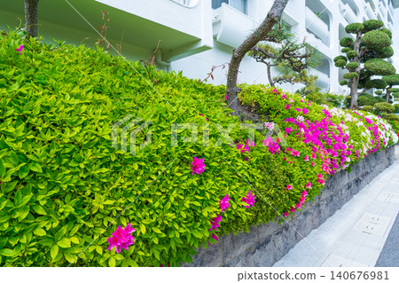 Beautiful spring hedges 140676981