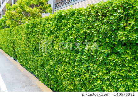 Beautiful spring hedges 140676982
