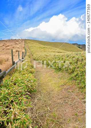 Nishina Pass on the Izu Mountain Ridge Trail, Izu Peninsula: A ridge trail passing through pastures and grasslands. Nishina Pass on the Izu Mountain Ridge Trail, Izu Peninsula: A ridge trail passing through pastures and grasslands. 140677369