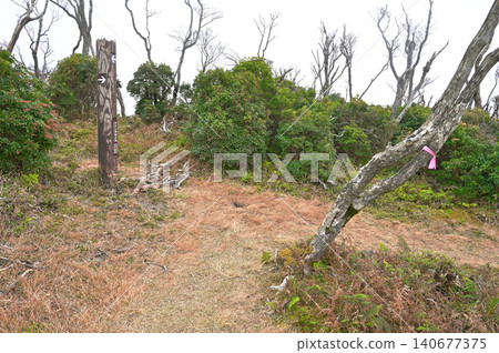 伊豆山脊步道上的美鬚台入口,美須台是伊豆半島上的一座山峰。 伊豆山脊步道上的美鬚台入口,美須台是伊豆半島上的一座山峰。 140677375