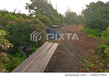 伊豆半島,伊豆山脊步道,從玉山山頂眺望的晨景 伊豆半島,伊豆山脊步道,從玉山山頂眺望的晨景 140677454