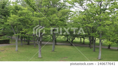 西陣中央公園是一個靠近車站的大型公園。 西陣中央公園是一個靠近車站的大型公園。 140677641