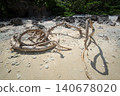 Scenery with driftwood 140678020