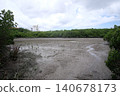 Lake Manko at low tide 140678173