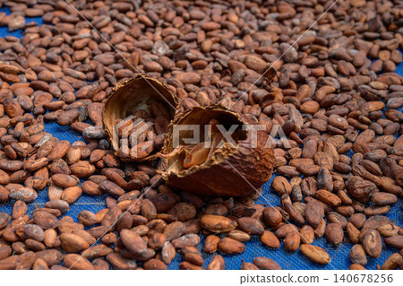 Cocoa beans is laid drying naturally in an open-air space. Cocoa beans is laid drying naturally in an open-air space. 140678256
