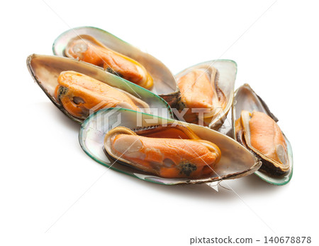 Green shell mussels on white background Green shell mussels on white background 140678878