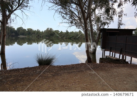 Many different wild birds swim in a freshwater pond. The background is in a public park. 140679671