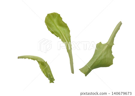 Green lettuce leaves. Green lettuce leaves. 140679673