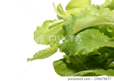 Green lettuce leaves. Green lettuce leaves. 140679677