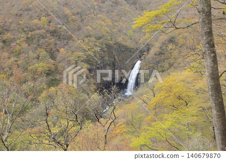 Sankai Falls as viewed from Takimidai Observatory in Zao Town, Miyagi Prefecture 140679870