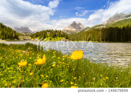 Colorful wildflowers on the shore of Lake Misurina with the iconic Tre Cime di Lavaredo rising above alpine forests in the background. Scenic summer landscape in the Dolomites, northern Italy. 140679899