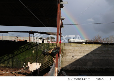 Rainbow over landscape. Rainbow over landscape under cloudy sky. Rainbow over landscape. Rainbow over landscape under cloudy sky. 140680005