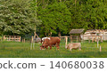Cows grazing on green pasture in mountain countryside representing rural life and sustainability. 140680038