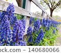 Lavender and trails Lavender and trails 140680066