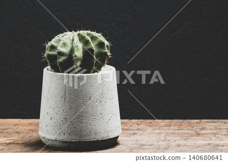 Beautiful cacti in cement pots, space for text 140680641