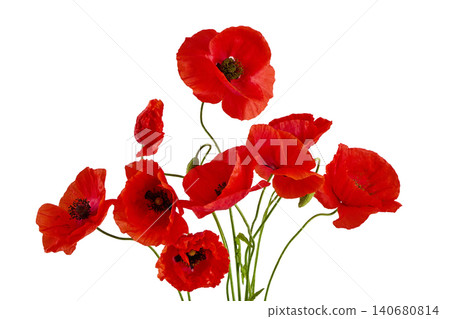 Red poppy flowers remembrance bouquet on white background Red poppy flowers remembrance bouquet on white background 140680814