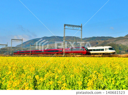 The old and new Meihan Limited Express trains passing each other The old and new Meihan Limited Express trains passing each other 140681523