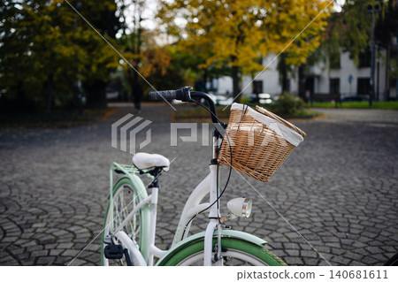 Couple walking together in autumn park Couple walking together in autumn park 140681611