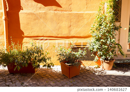Row of flower pots with green plants on cobblestone pavement against a bright yellow stucco wall. Row of flower pots with green plants on cobblestone pavement against a bright yellow stucco wall. 140681627
