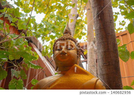 Buddha statue temple courtyard tree leaf golden robe serenity beneath green canopy, low angle view with warm light, spiritual landmark, calm meditation mood 140682936