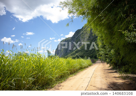 Mountain dirt road bamboo grass cliff blue sky cloud tropical landscape, sunlit trail beside tall field and dense grove, leading toward rugged hillside under summer daylight, peaceful travel scene Mountain dirt road bamboo grass cliff blue sky cloud tropical landscape, sunlit trail beside tall field and dense grove, leading toward rugged hillside under summer daylight, peaceful travel scene 140683108
