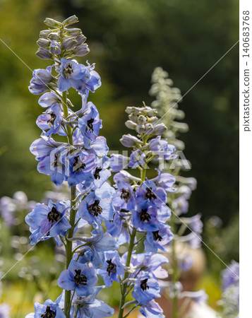 Generated image Generated image 140683768