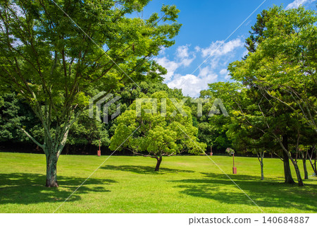 鬱鬱蔥蔥的夏季公園:三重縣四日市南部九陵公園 鬱鬱蔥蔥的夏季公園:三重縣四日市南部九陵公園 140684887