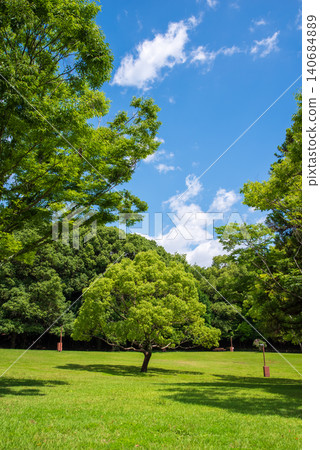 鬱鬱蔥蔥的夏季公園:三重縣四日市南部九陵公園 鬱鬱蔥蔥的夏季公園:三重縣四日市南部九陵公園 140684889