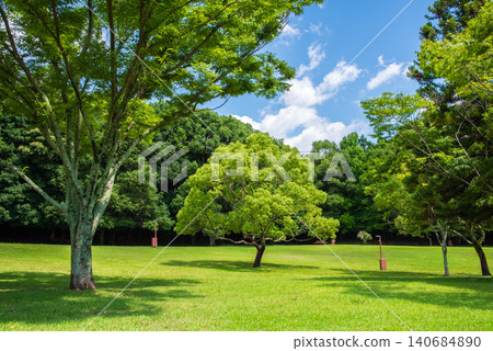鬱鬱蔥蔥的夏季公園:三重縣四日市南部九陵公園 鬱鬱蔥蔥的夏季公園:三重縣四日市南部九陵公園 140684890