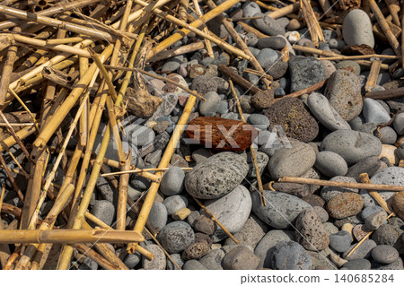 Pebble shore with gray basalt stones and driftwood in Madeira midday sun Pebble shore with gray basalt stones and driftwood in Madeira midday sun 140685284