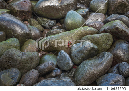 Wet shoreline boulders with rock crabs on Madeira volcanic coast Wet shoreline boulders with rock crabs on Madeira volcanic coast 140685293