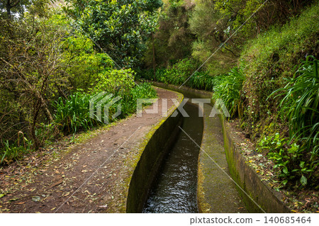 Levada and footpath in laurel forest, Madeira Island, Portugal Levada and footpath in laurel forest, Madeira Island, Portugal 140685464