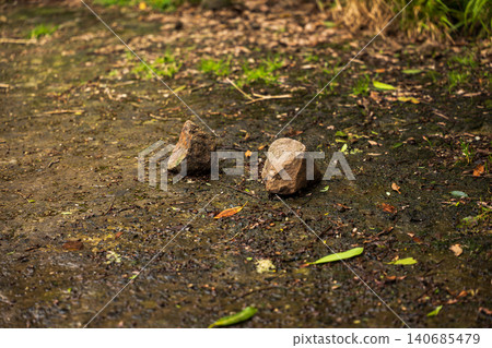 Rough stones on moss flecked dirt path in a Madeira forest setting Rough stones on moss flecked dirt path in a Madeira forest setting 140685479