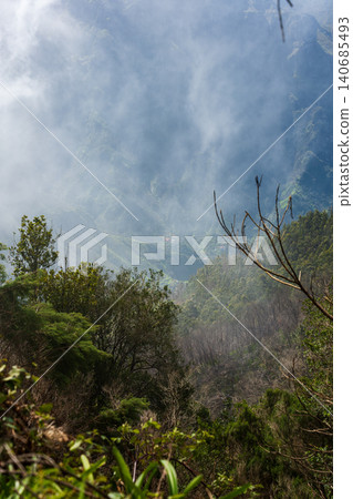 Misty Madeira valley from forested overlook near Curral das Freiras Misty Madeira valley from forested overlook near Curral das Freiras 140685493