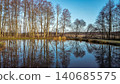 Calm Water Reflecting Leafless Trees Under a Clear Blue Sky 140685575