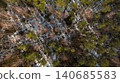 Aerial View of a Forest with Snow Patches in Eastern Europe 140685583
